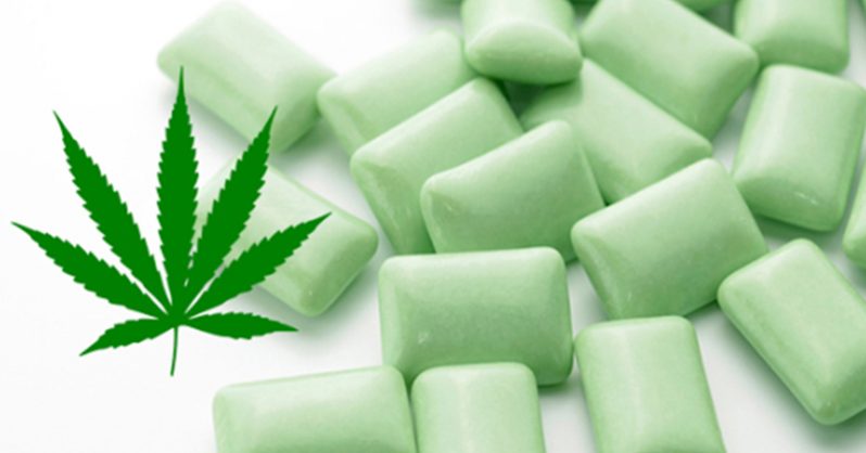 New Marijuana Gum to be EffectiveFibromyalgia Treatment