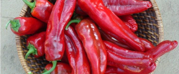 The Household Spice that Destroys Cancer Cells, Stops Heart Attacks and Rebuilds the Gut 1