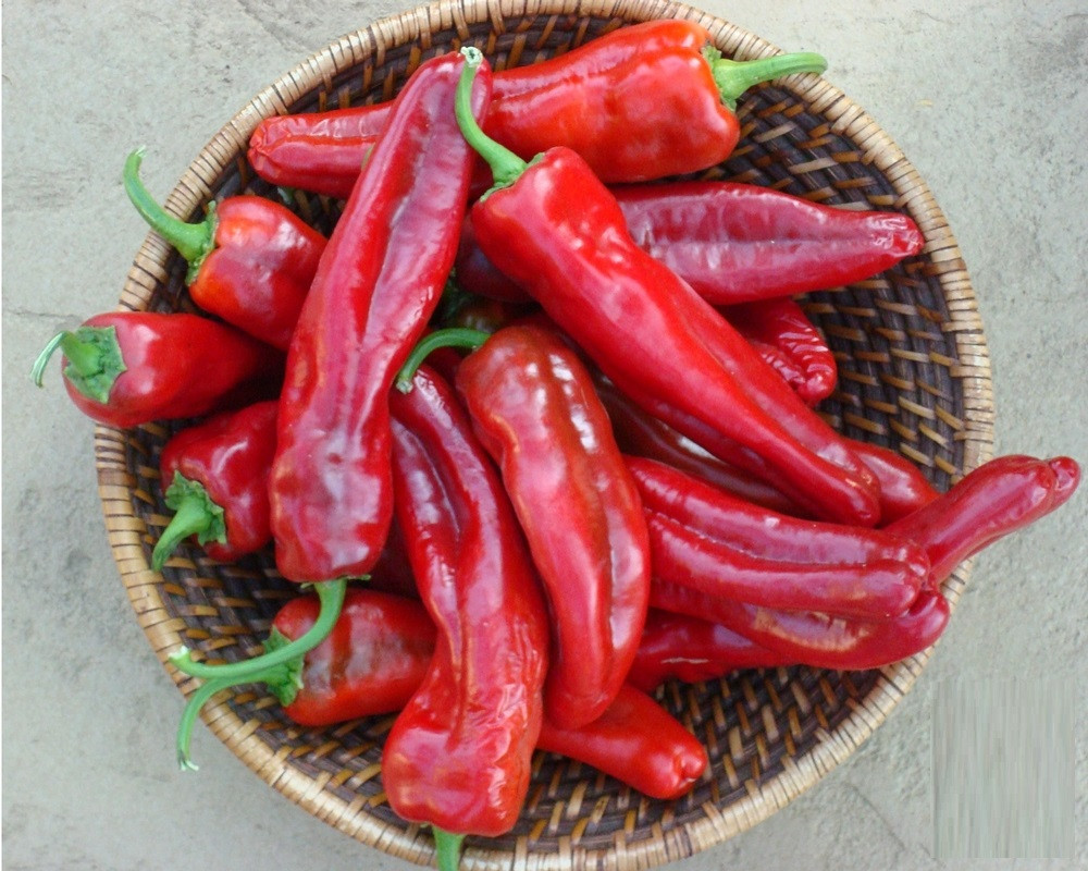 The Household Spice that Destroys Cancer Cells, Stops Heart Attacks and Rebuilds the Gut 1