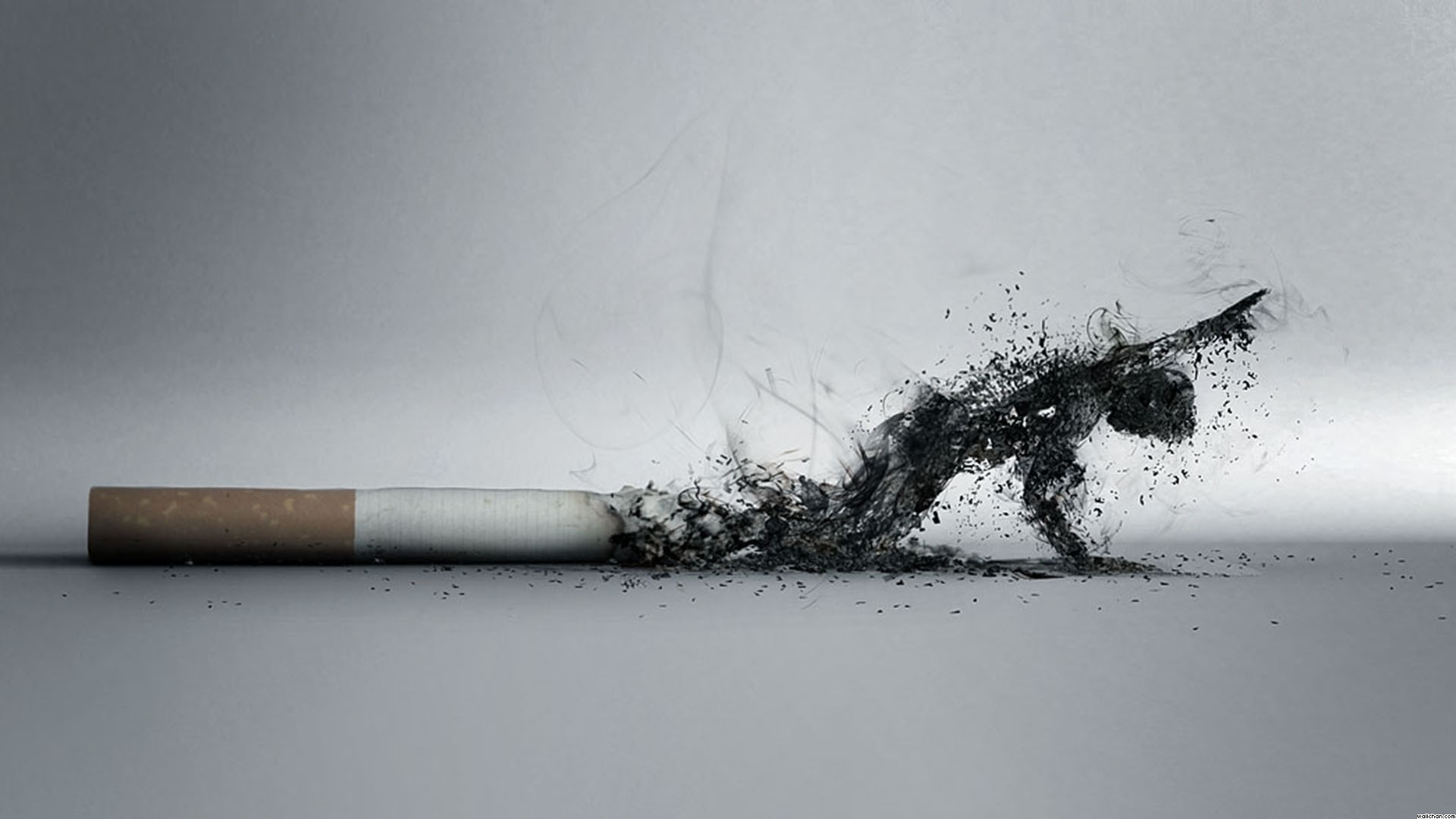 Here Is What Happens to Your Body When You Quit Smoking source-Spirit Science